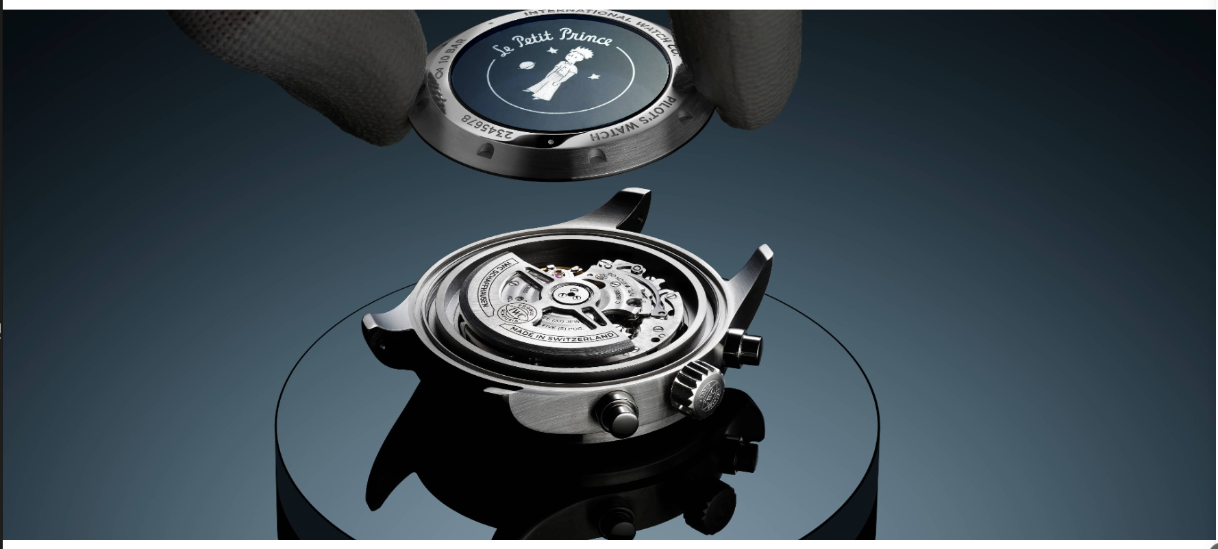 IWC caseback and movement